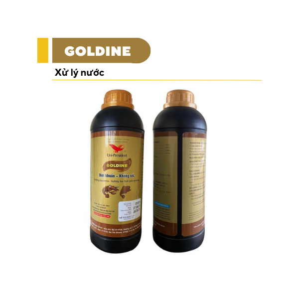 GOLDINE - Ảnh 6