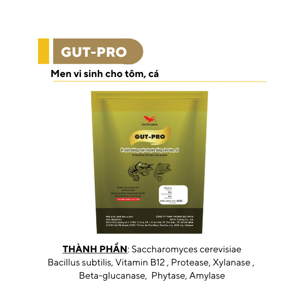 GUT-PRO - Ảnh 3