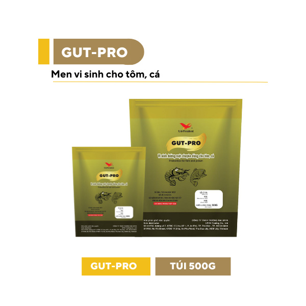 GUT-PRO - Ảnh 4