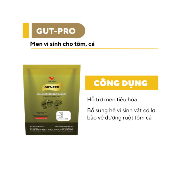 GUT-PRO - Ảnh 5