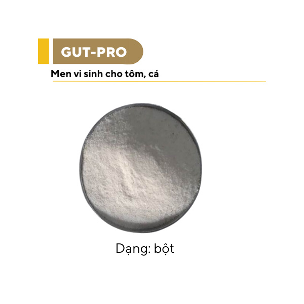 GUT-PRO - Ảnh 6