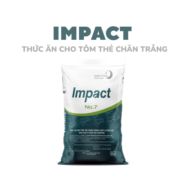 IMPACT - Ảnh 3