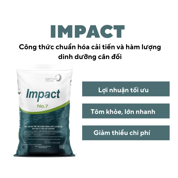 IMPACT - Ảnh 4