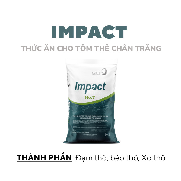 IMPACT - Ảnh 5