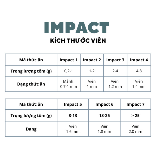 IMPACT - Ảnh 6