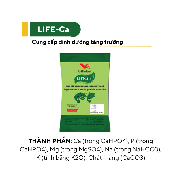 LIFE-Ca - Ảnh 3