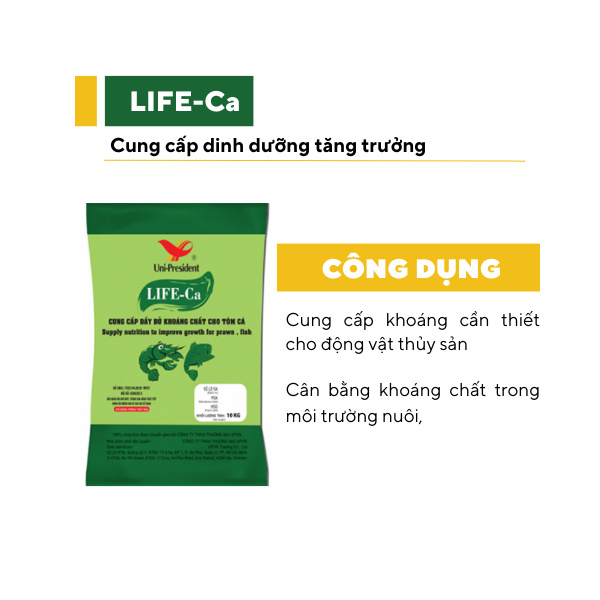 LIFE-Ca - Ảnh 5
