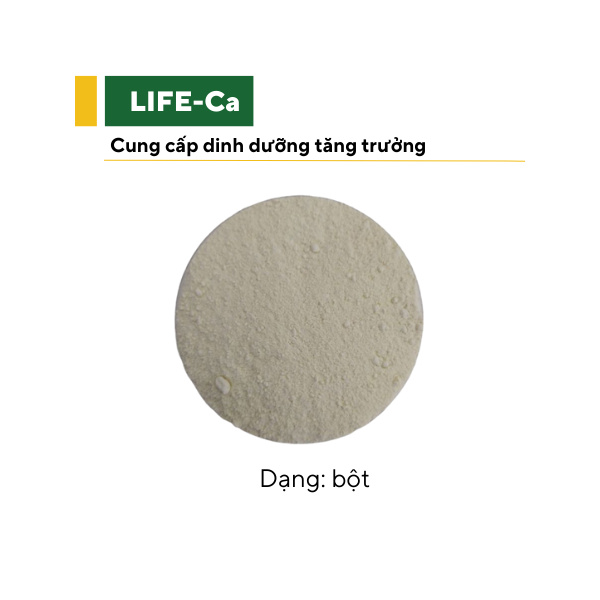 LIFE-Ca - Ảnh 6