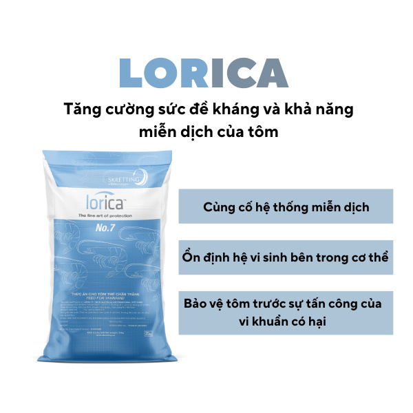 LORICA - Ảnh 4