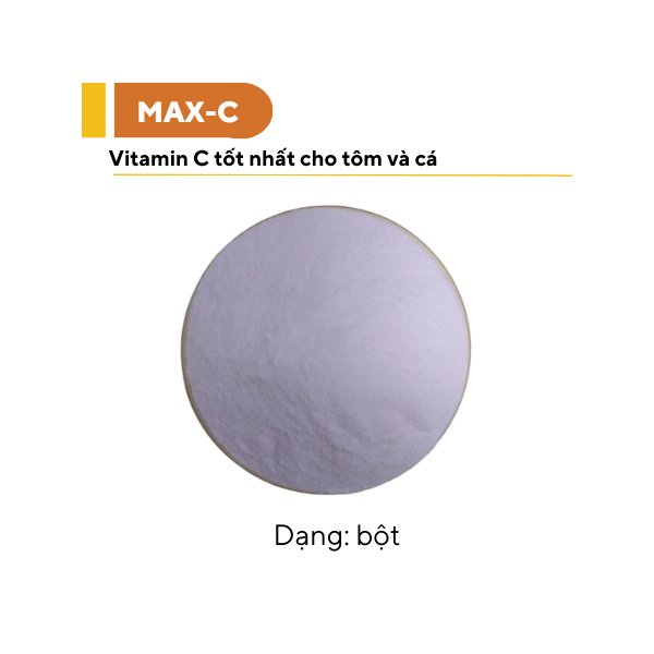 MAX-C - Ảnh 6