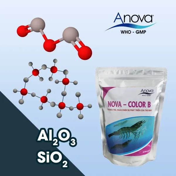 NOVA-COLOR B - Ảnh 3