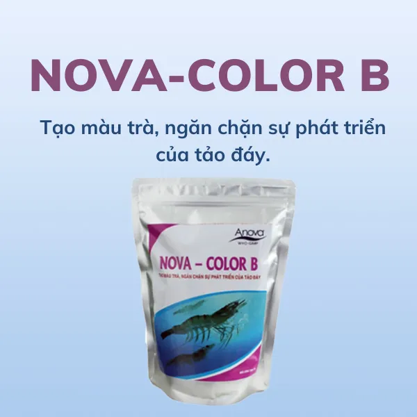 NOVA-COLOR B