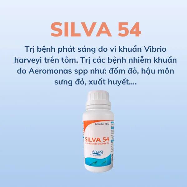 SILVA 54 - Ảnh 2