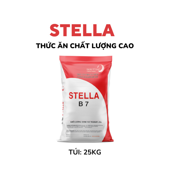 STELLA B - Ảnh 3
