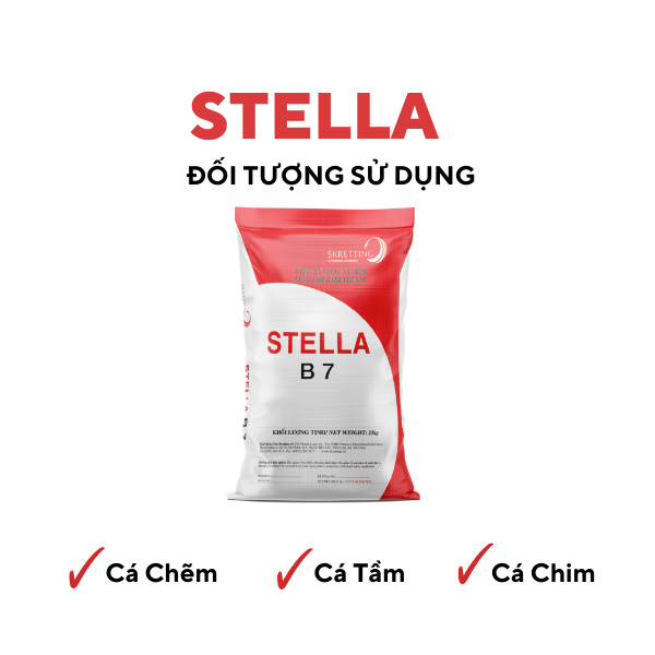 STELLA B - Ảnh 5
