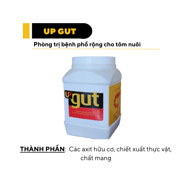 UP GUT - Ảnh 3