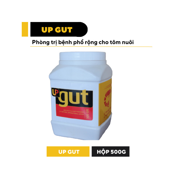 UP GUT - Ảnh 4