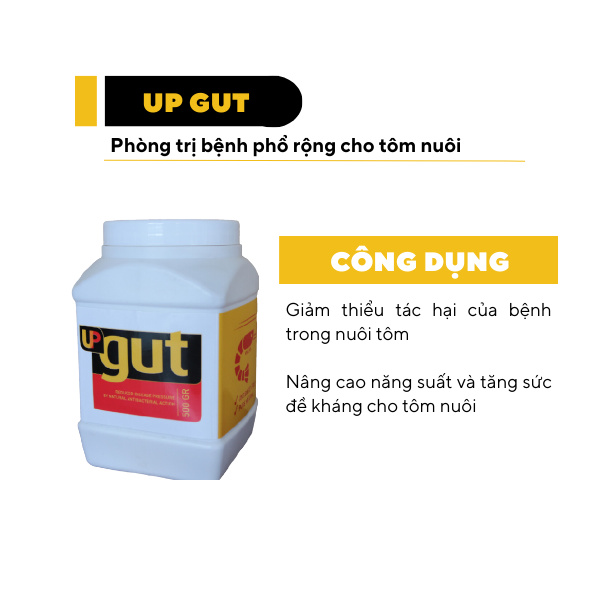 UP GUT - Ảnh 5