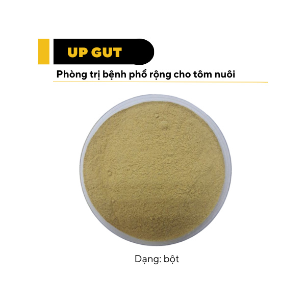 UP GUT - Ảnh 6
