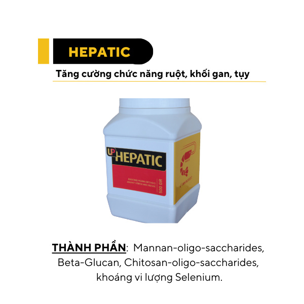 UP HEPATIC - Ảnh 3