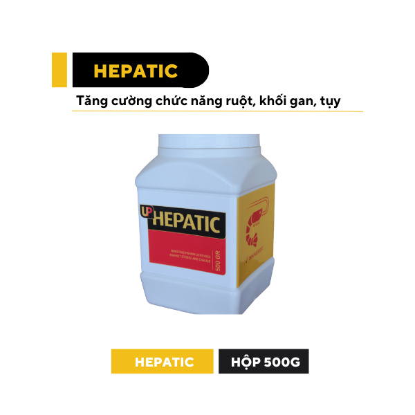 UP HEPATIC - Ảnh 4