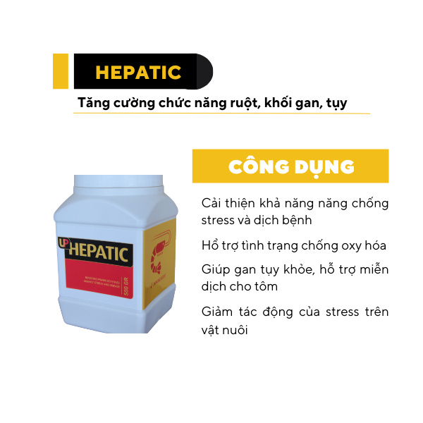 UP HEPATIC - Ảnh 5