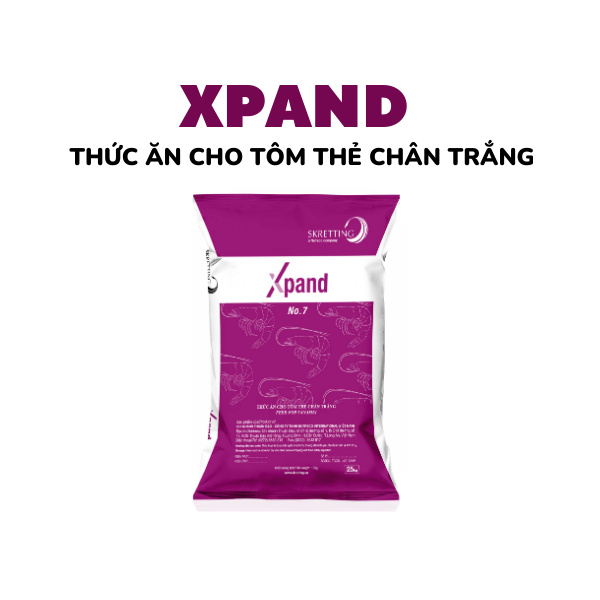 XPAND - Ảnh 3