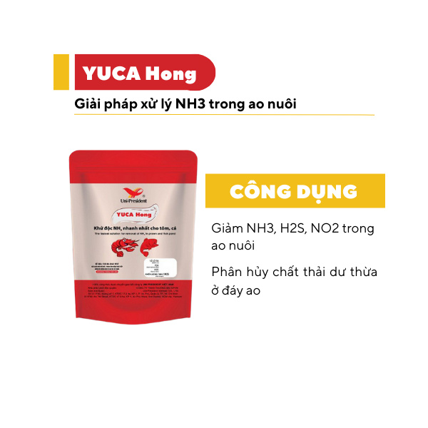 YUCA Hong - Ảnh 5