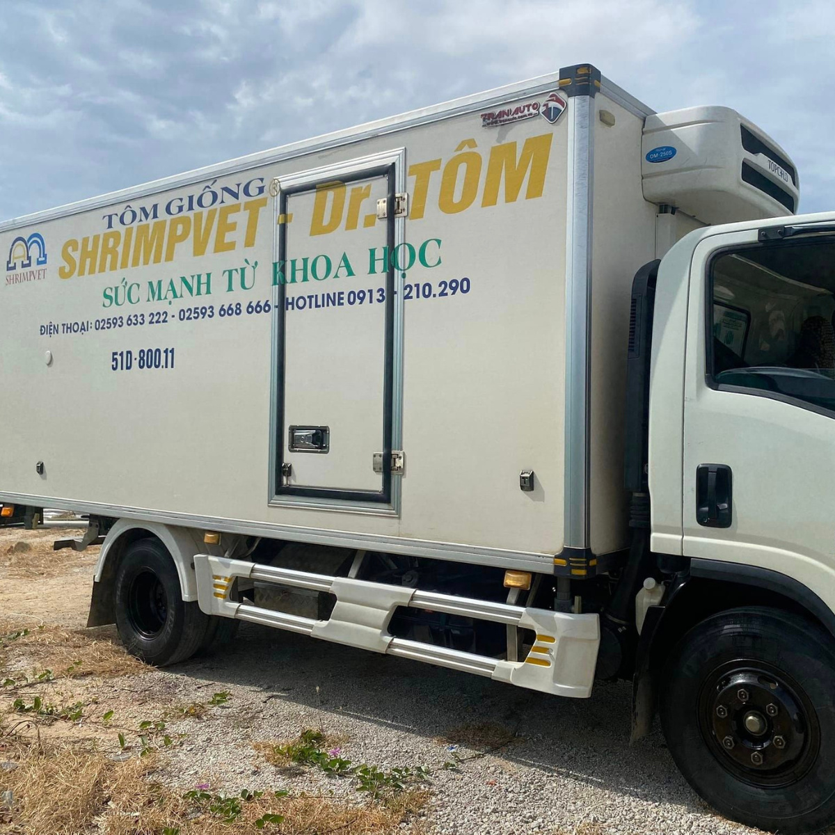 Giống tôm thẻ chân trắng - Ảnh 8