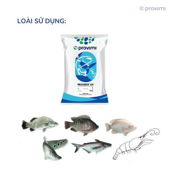 PROVISOY VN - Ảnh 5
