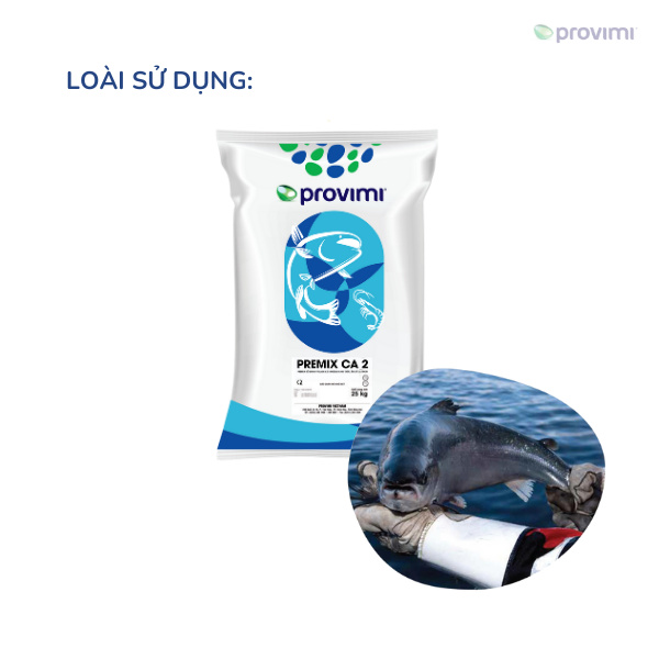 PREMIX CA 2 - Ảnh 5