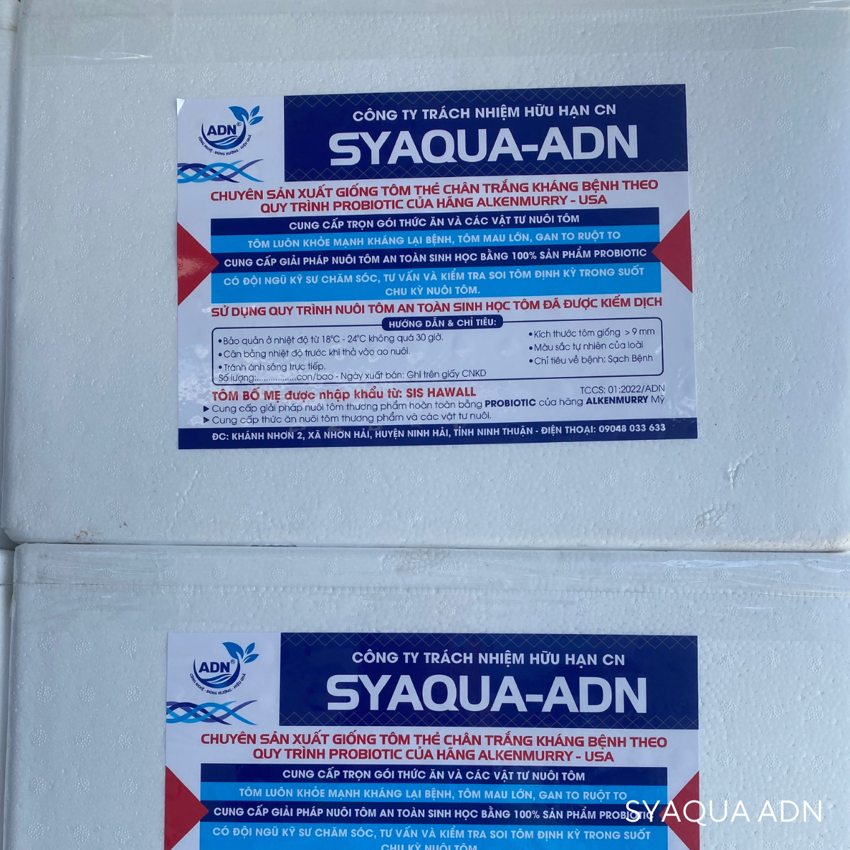 Giống tôm thẻ chân trắng - Ảnh 5