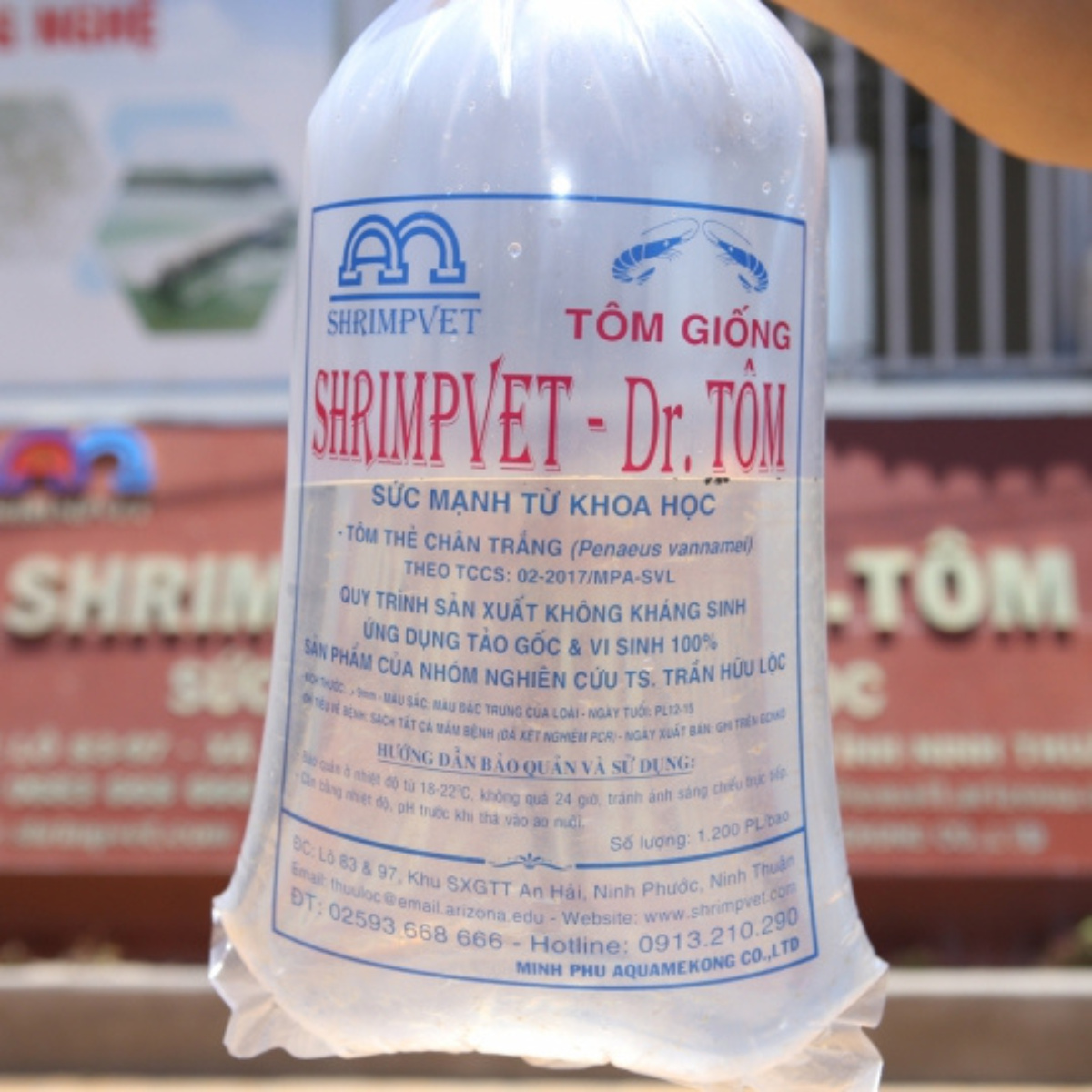 Giống tôm thẻ chân trắng - Ảnh 6