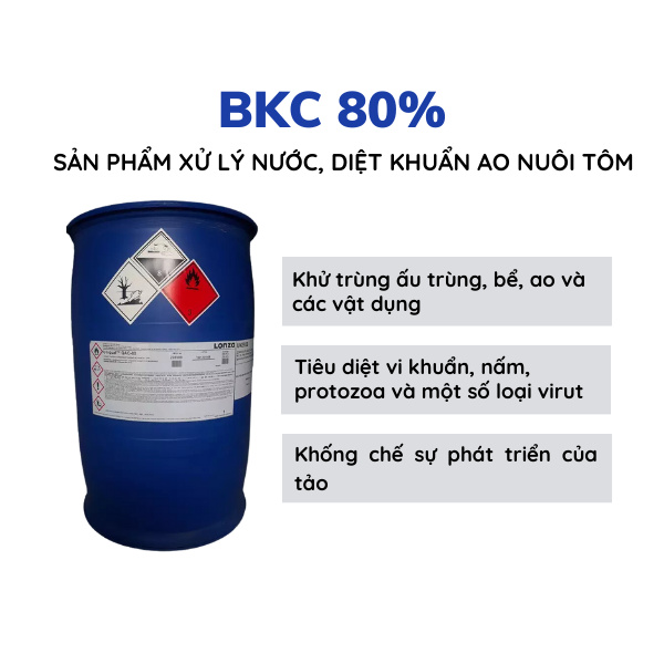 BKC 80% - Ảnh 5