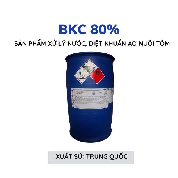 BKC 80% - Ảnh 6