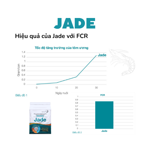 JADE - Ảnh 5