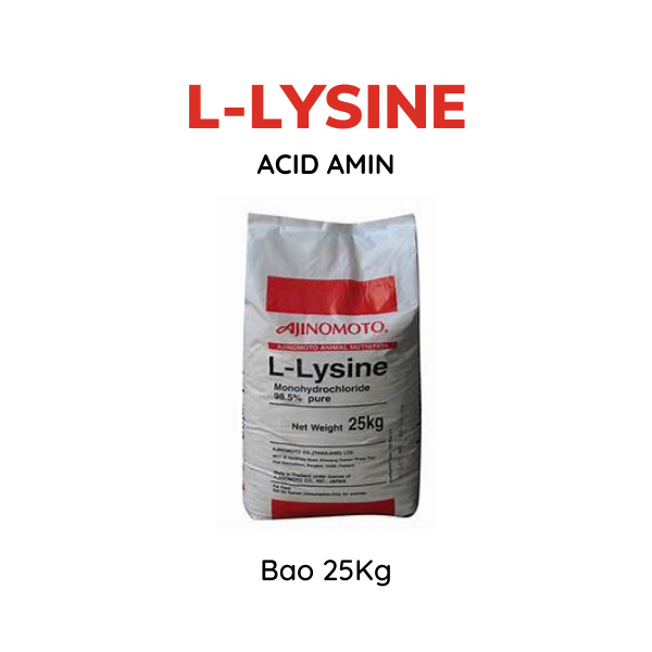 L-Lysine 99% - Ảnh 3