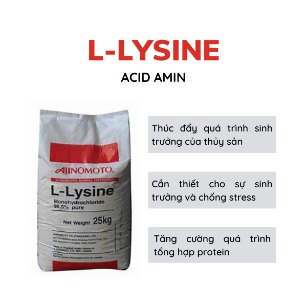 L-Lysine 99% - Ảnh 4