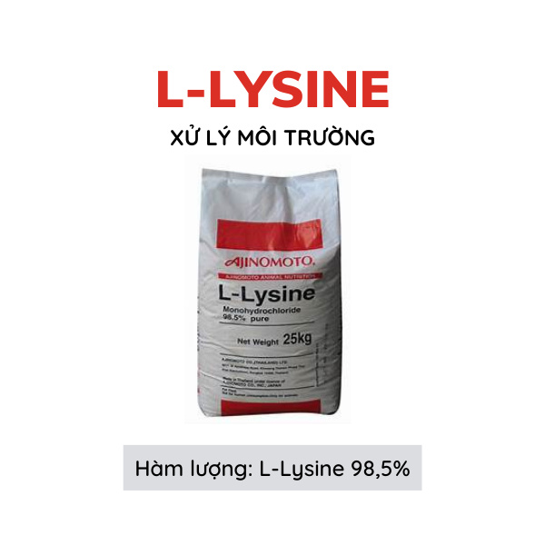 L-Lysine 99% - Ảnh 5