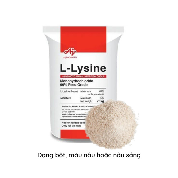 L-Lysine 99% - Ảnh 6