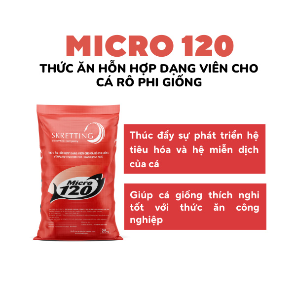 Thức ăn Micro - Ảnh 4