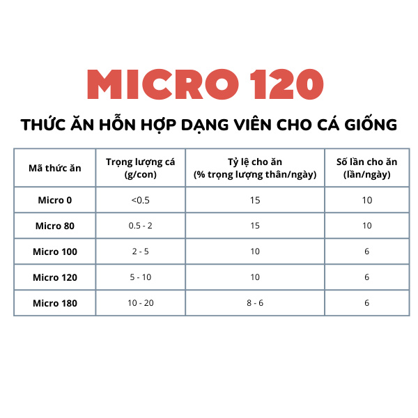 Thức ăn Micro - Ảnh 6