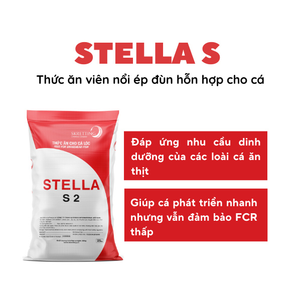 Stella S+ - Ảnh 4