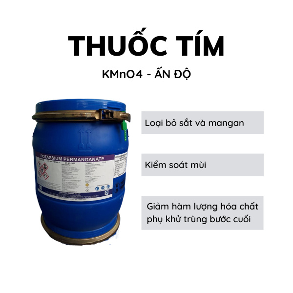 Thuốc tím Ấn Độ - Ảnh 4