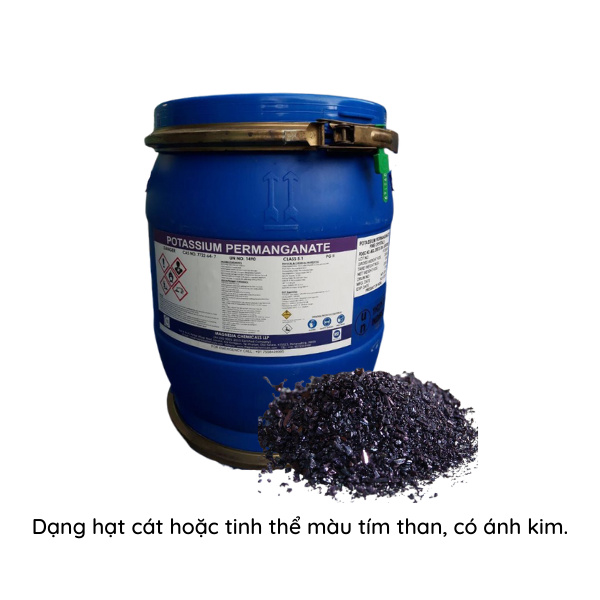 Thuốc tím Ấn Độ - Ảnh 6