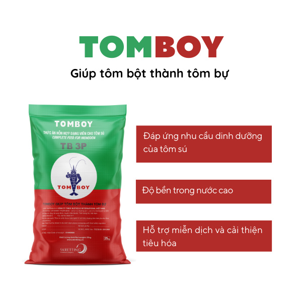 TOMBOY - Ảnh 4