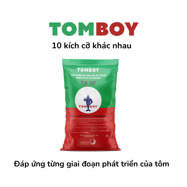 TOMBOY - Ảnh 5