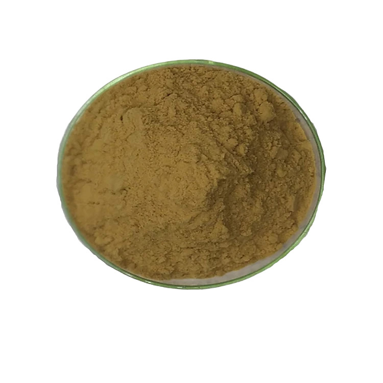 Cao khô Actiso Biogreen - Ảnh 2