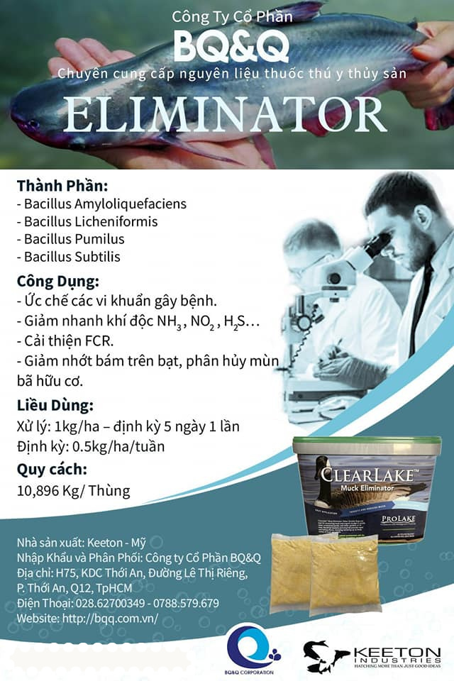 ELIMINATOR - Ảnh 3