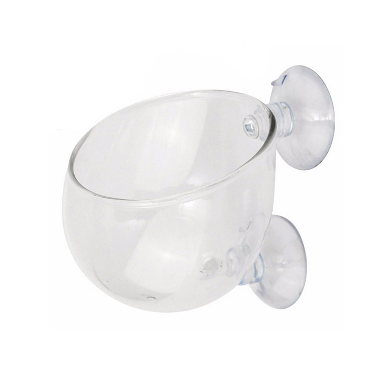 Cốc Trồng Cây Bằng Thủy Tinh hoặc Acrylic siêu trong - phụ kiện hồ thủy sinh